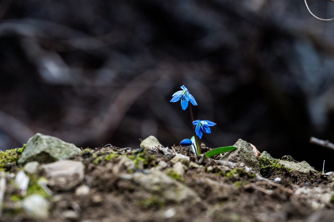ontdek de kracht van persoonlijke groei en ontwikkeling. leer hoe je jezelf kunt verbeteren, je doelen kunt bereiken en een vervullender leven kunt leiden. duik in tips, strategieën en inspiratie voor mentale en emotionele groei.